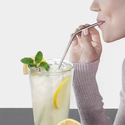Collapsible, Portable, And Reusable Stainless Steel Drinking Straw With Case DailySale