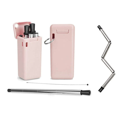 Collapsible, Portable, And Reusable Stainless Steel Drinking Straw With Case DailySale