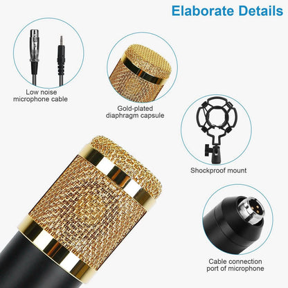 Condenser Microphone Bundle Shock Mount with Adjustable Boom Arm Sound Card DailySale