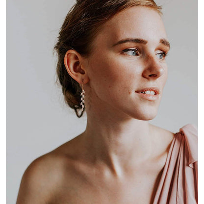 Crystal Drop Earrings DailySale