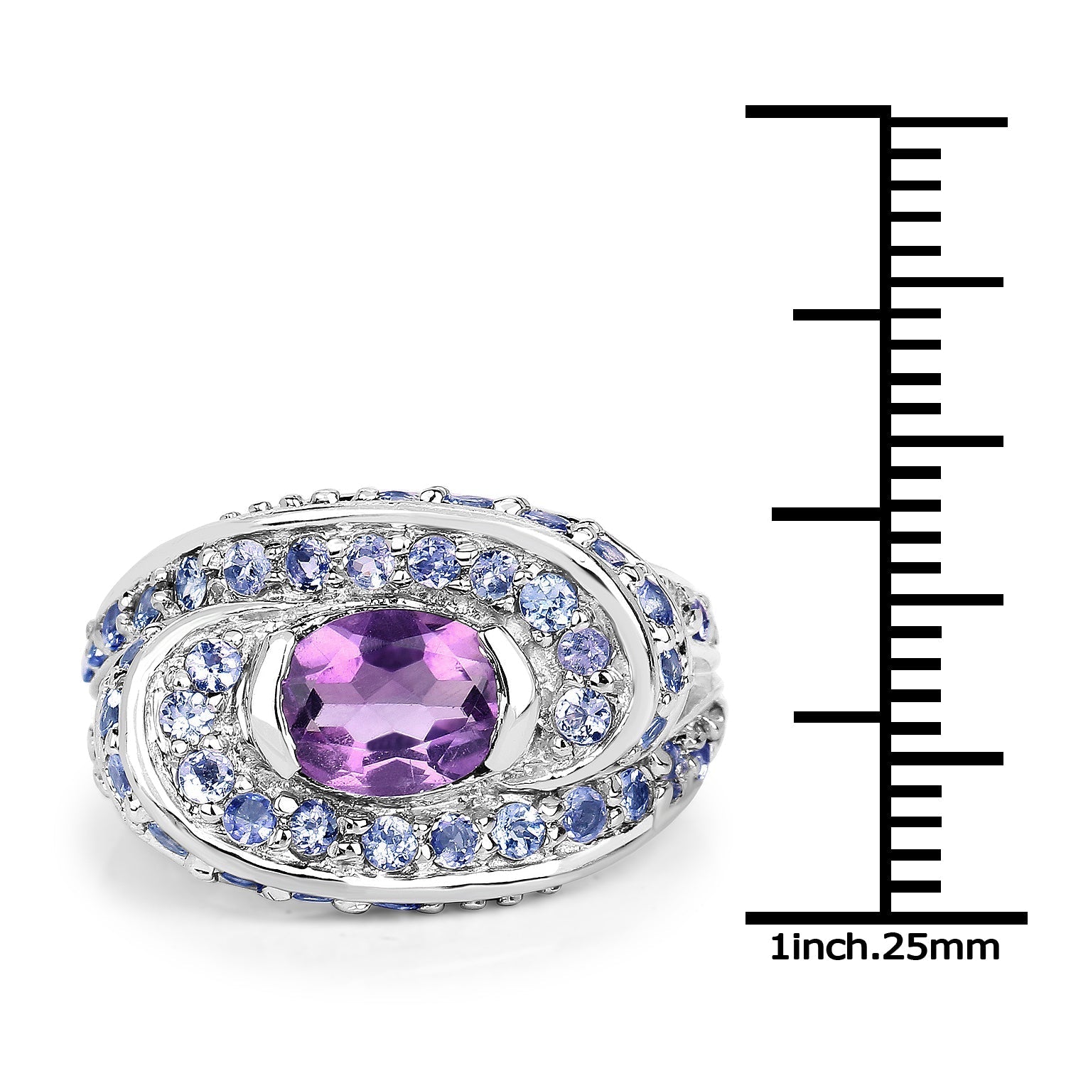 2.76 Carat Genuine Amethyst and Tanzanite .925 Sterling Silver Ring Bids.com
