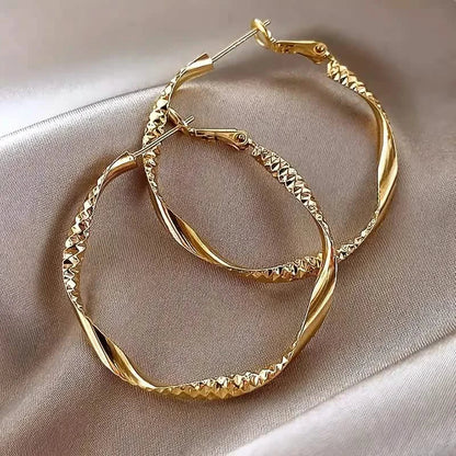 Delicate Silky Texture Design Women's Earrings DailySale
