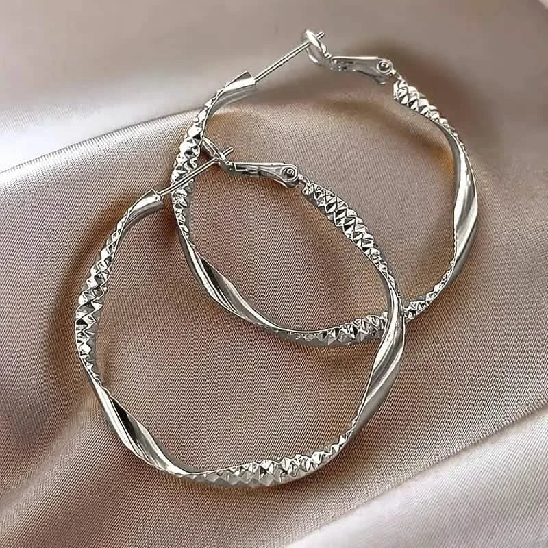 Delicate Silky Texture Design Women's Earrings DailySale