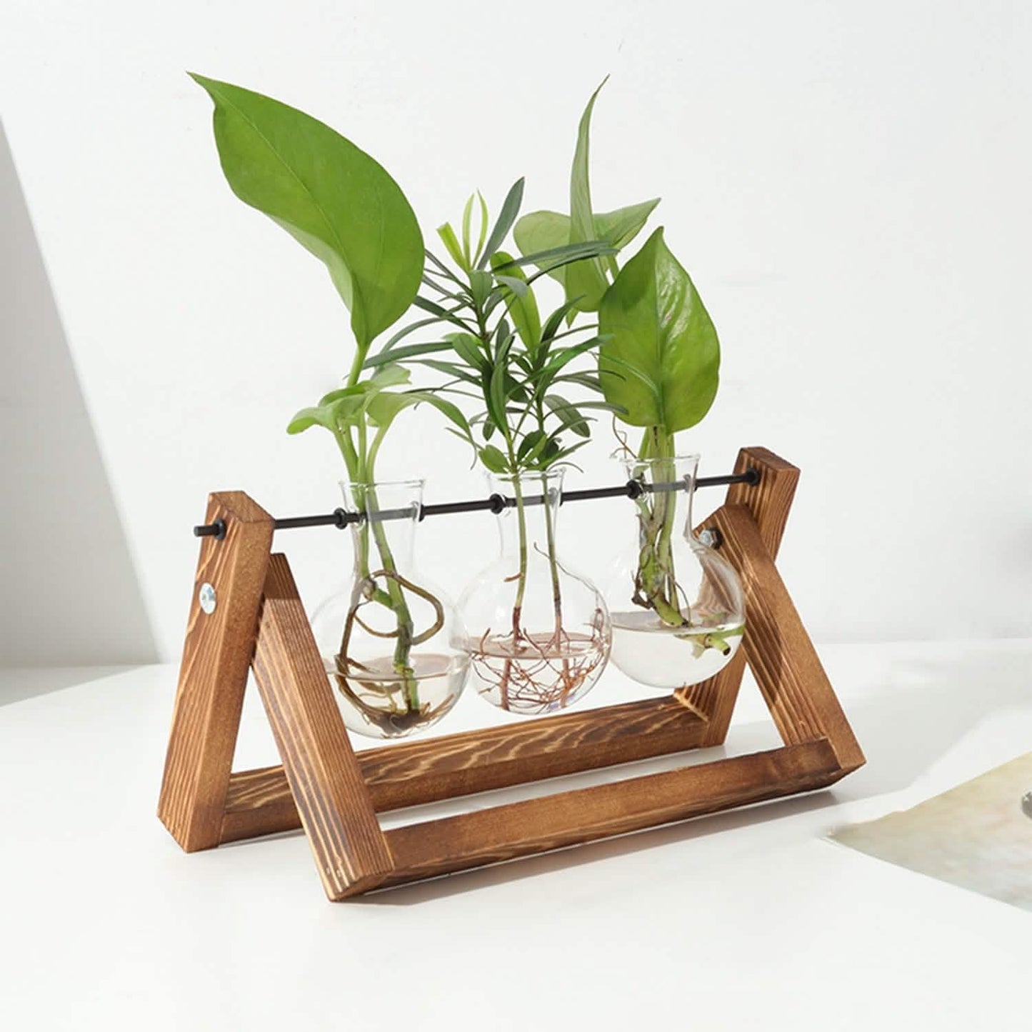 Desktop Glass Bulb Planter DailySale