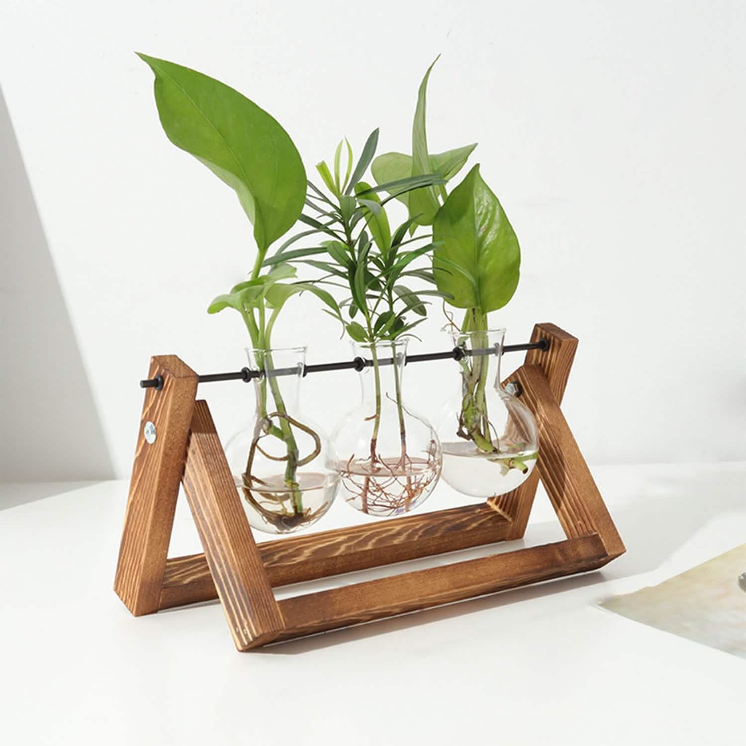 Desktop Glass Bulb Planter DailySale