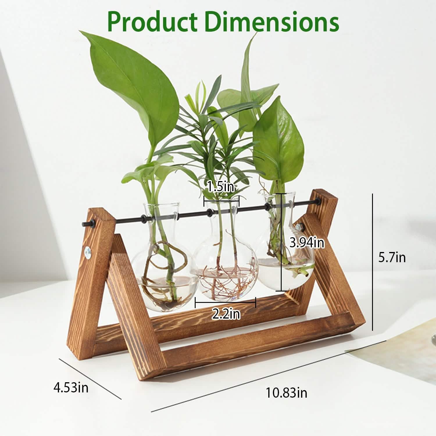 Desktop Glass Bulb Planter DailySale