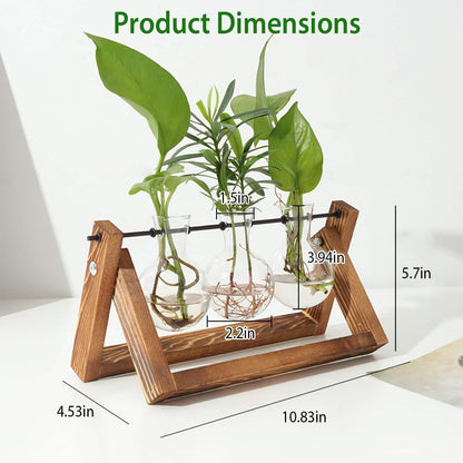 Desktop Glass Bulb Planter DailySale