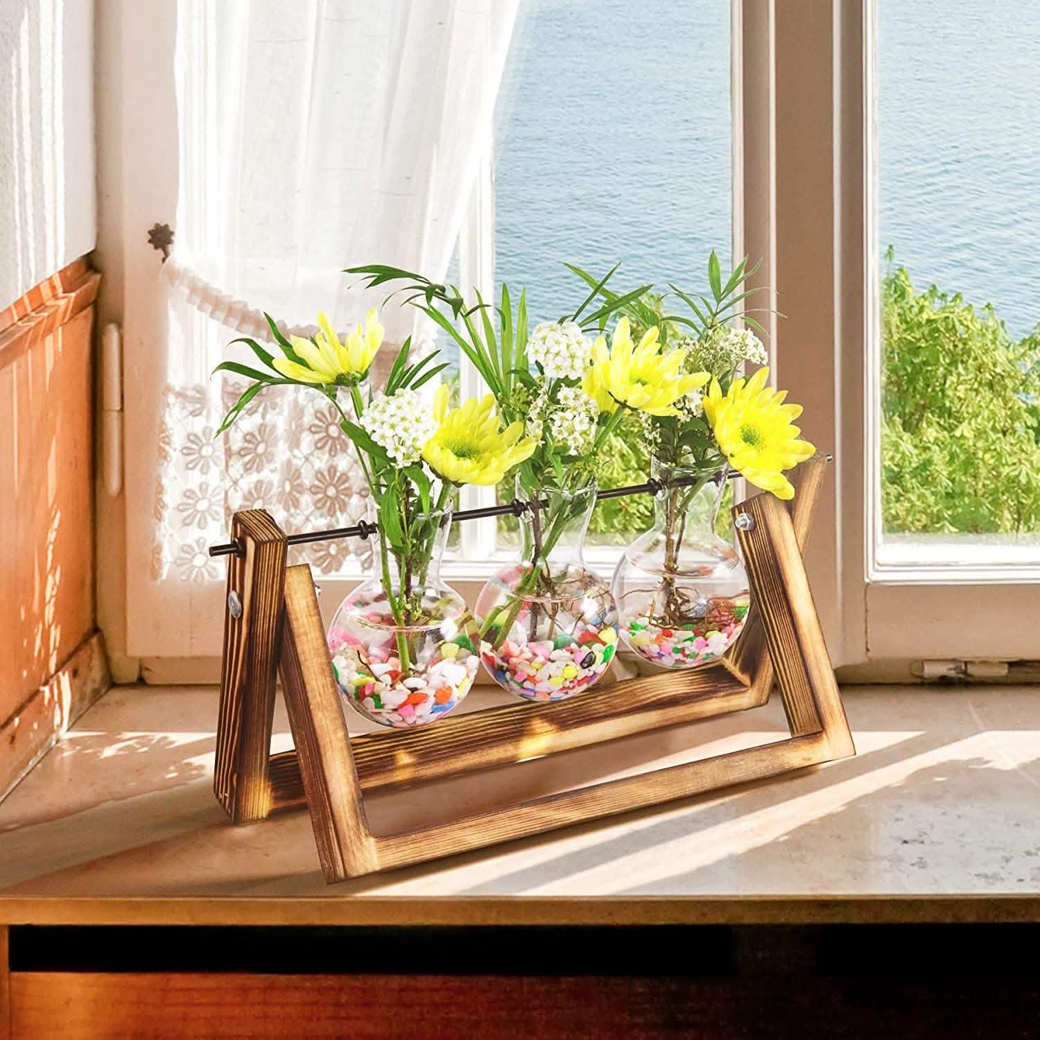 Desktop Glass Bulb Planter DailySale