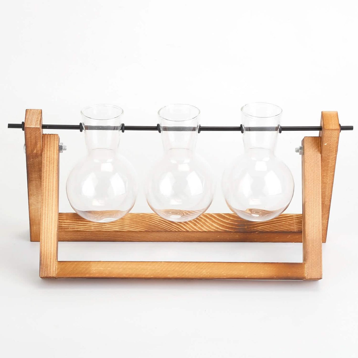 Desktop Glass Bulb Planter DailySale