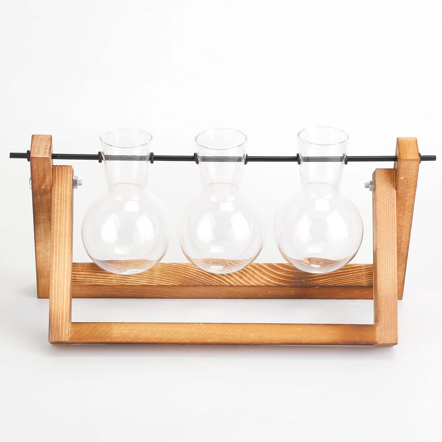 Desktop Glass Bulb Planter DailySale