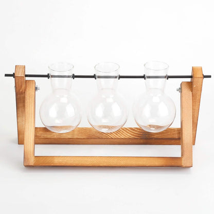 Desktop Glass Bulb Planter DailySale