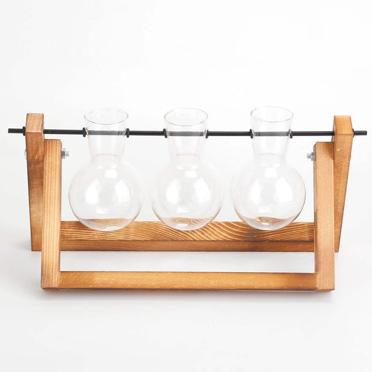 Desktop Glass Bulb Planter DailySale