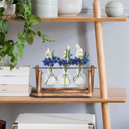 Desktop Glass Bulb Planter DailySale
