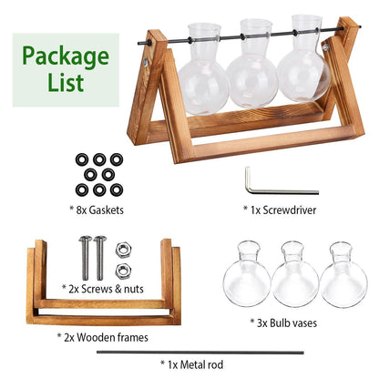 Desktop Glass Bulb Planter DailySale
