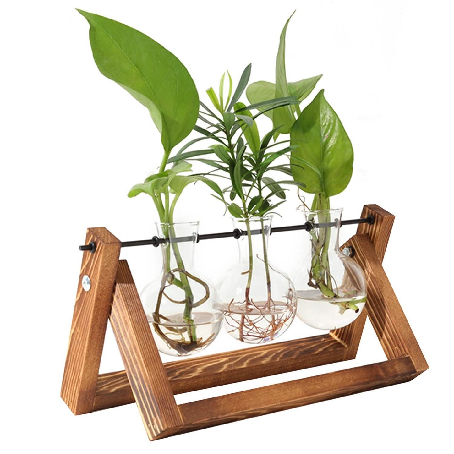Desktop Glass Bulb Planter DailySale