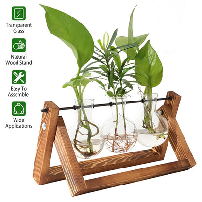 Desktop Glass Bulb Planter DailySale