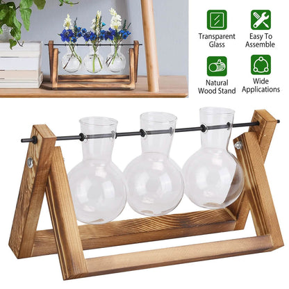 Desktop Glass Bulb Planter DailySale