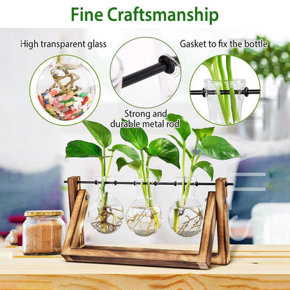 Desktop Glass Bulb Planter DailySale