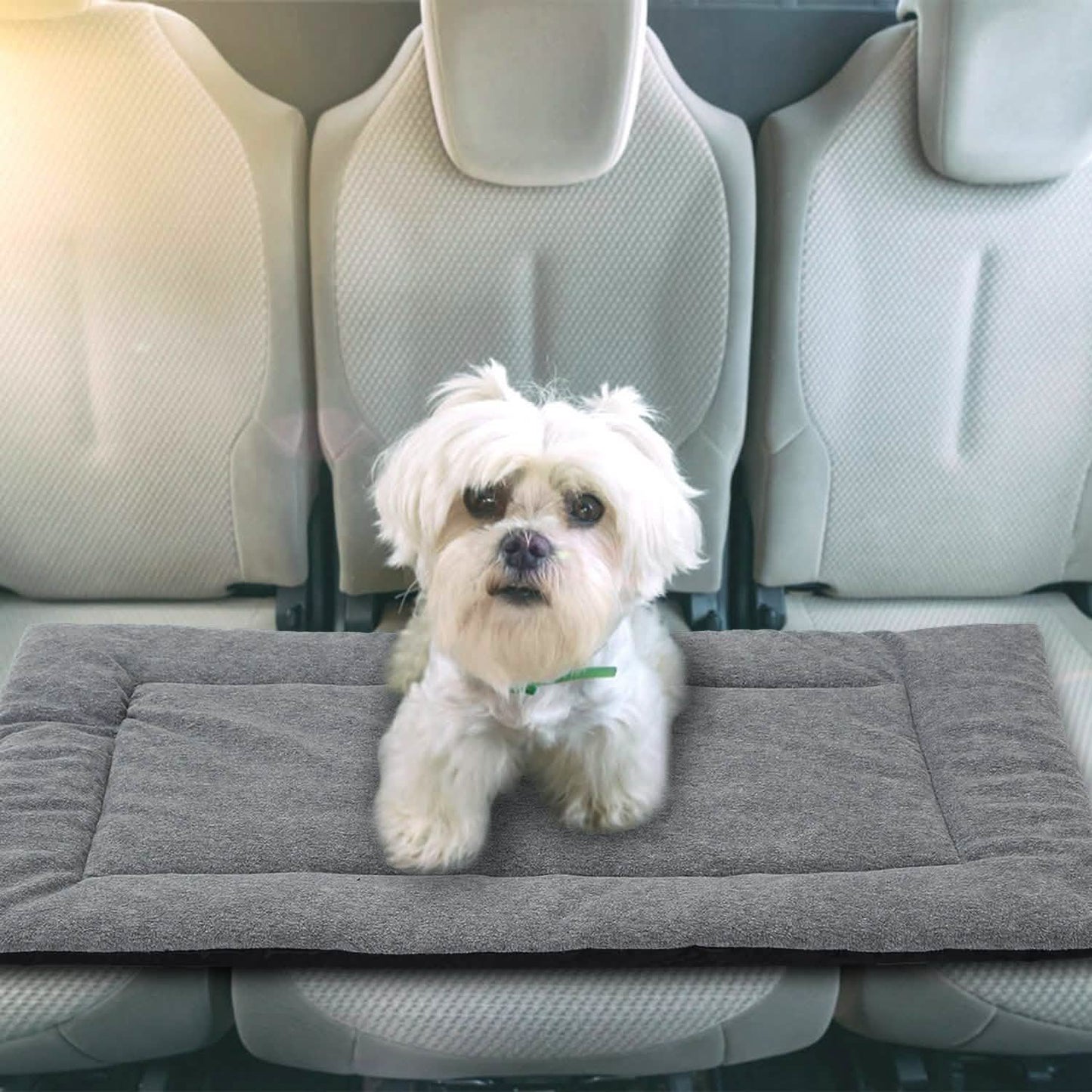 Dog Bed Mat Comfortable Fleece Reversible Pad DailySale