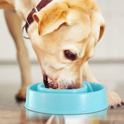 Dog Cat Slow Feeder Bowl DailySale