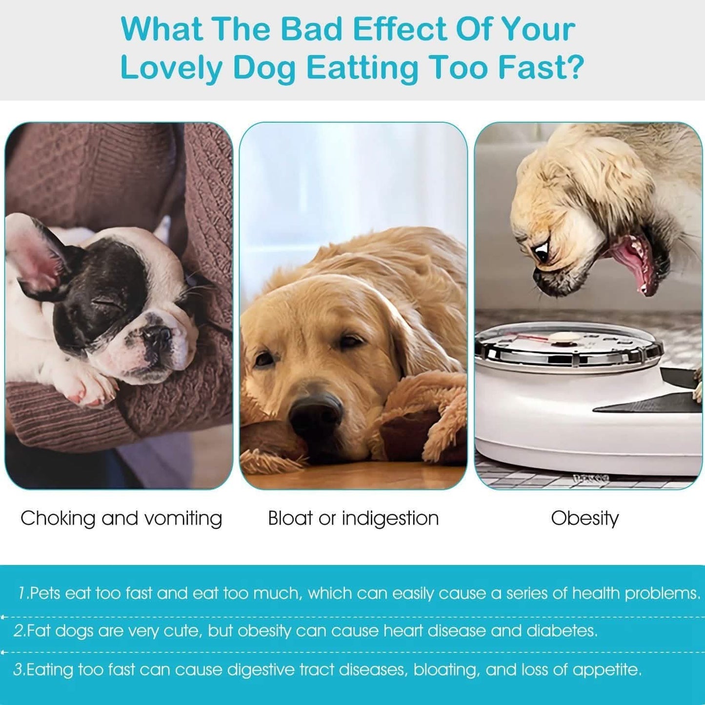 Dog Cat Slow Feeder Bowl DailySale