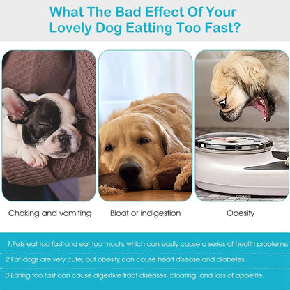 Dog Cat Slow Feeder Bowl DailySale