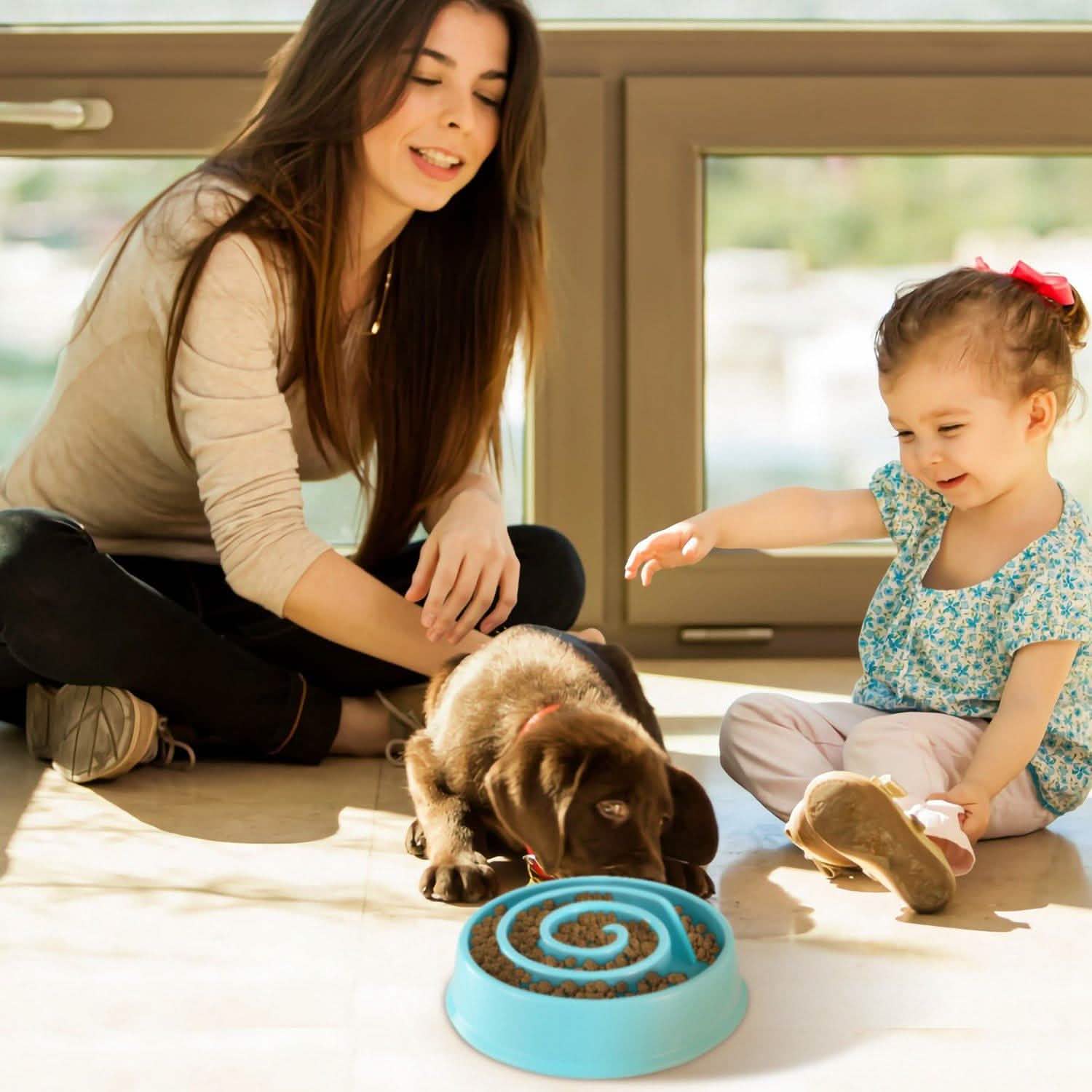 Dog Cat Slow Feeder Bowl DailySale