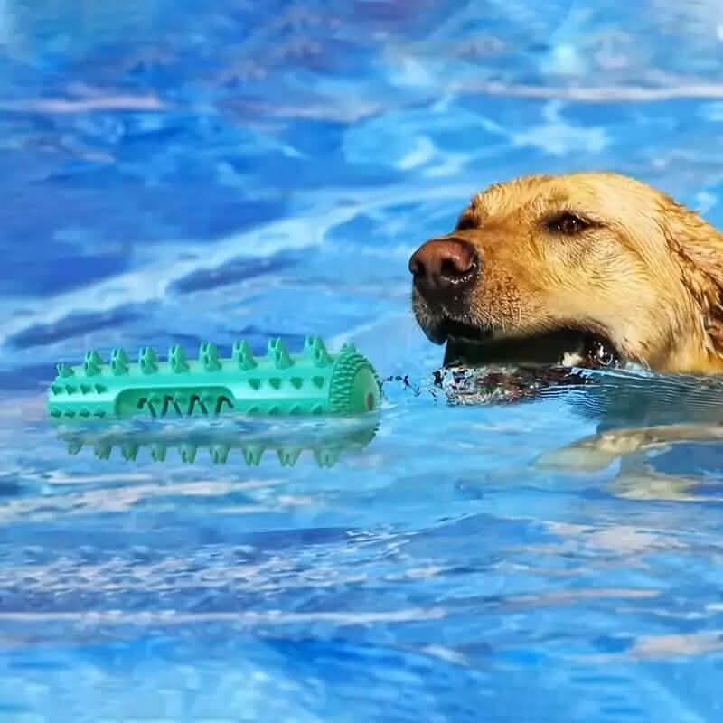 Dog Chew Toys Dog Toothbrush Stick DailySale