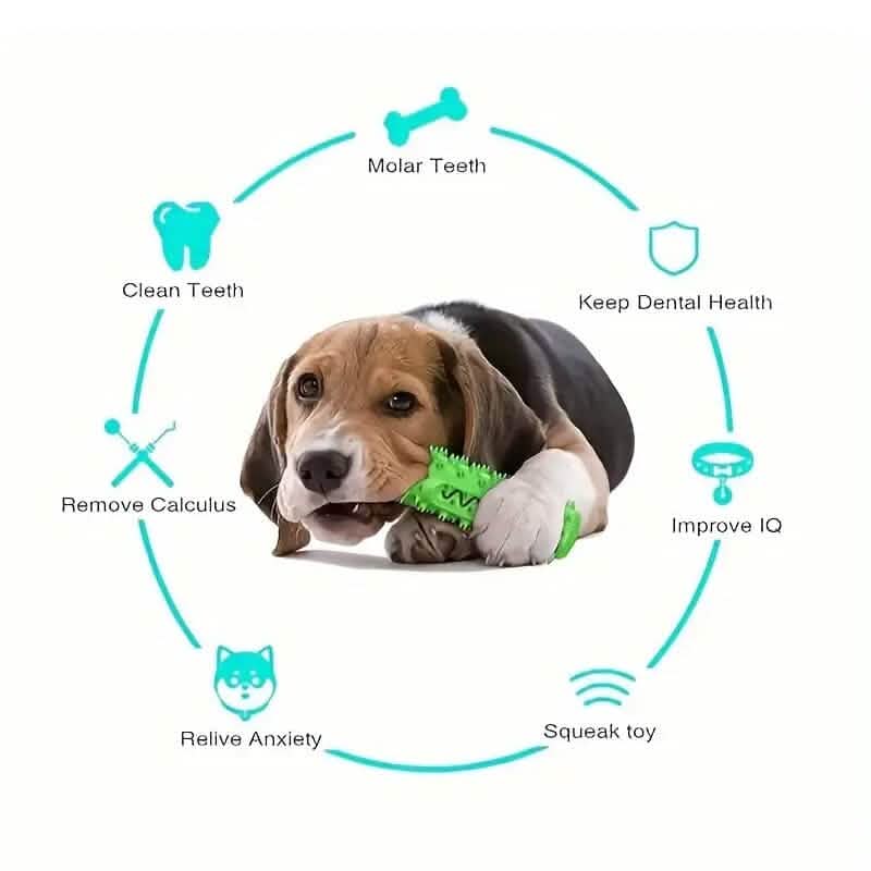 Dog Chew Toys Dog Toothbrush Stick DailySale