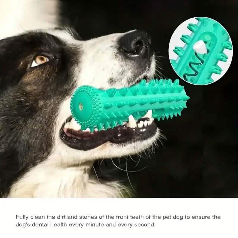 Dog Chew Toys Dog Toothbrush Stick DailySale