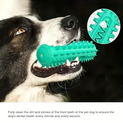 Dog Chew Toys Dog Toothbrush Stick DailySale