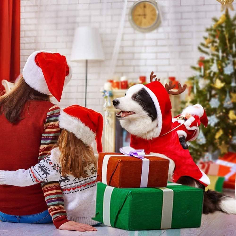 Dog Costume Christmas Pet Clothes DailySale