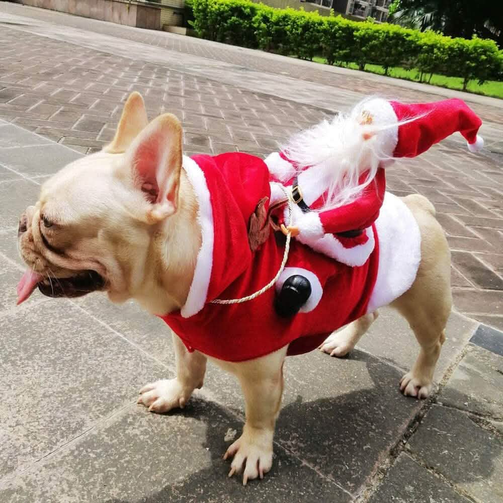 Dog Costume Christmas Pet Clothes DailySale