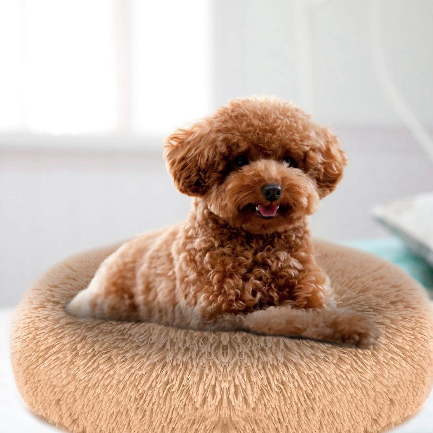 Dog Cozy Nest Sofa Bed Cushion DailySale