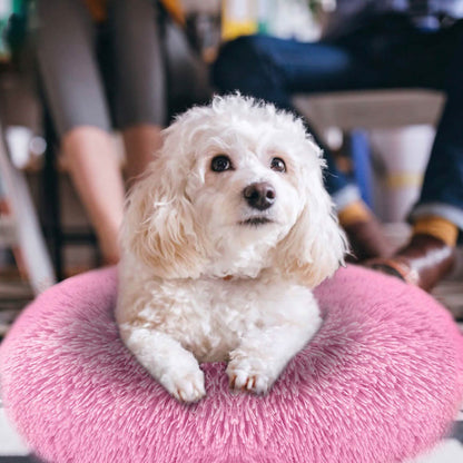 Dog Cozy Nest Sofa Bed Cushion DailySale