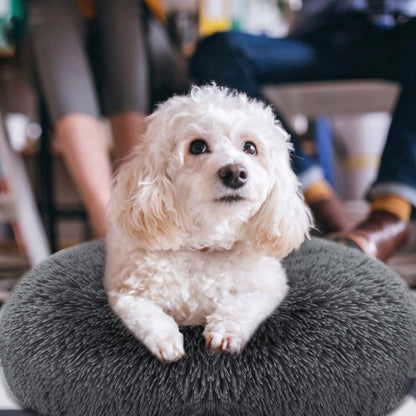 Dog Cozy Nest Sofa Bed Cushion DailySale