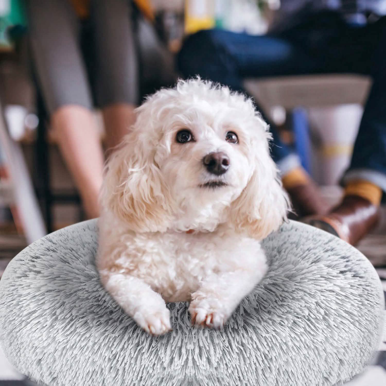 Dog Cozy Nest Sofa Bed Cushion DailySale