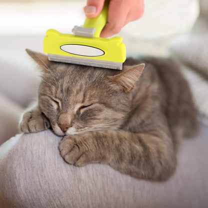 Dog Grooming Brush Comb Pet Hair Remover DailySale