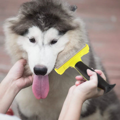 Dog Grooming Brush Comb Pet Hair Remover DailySale