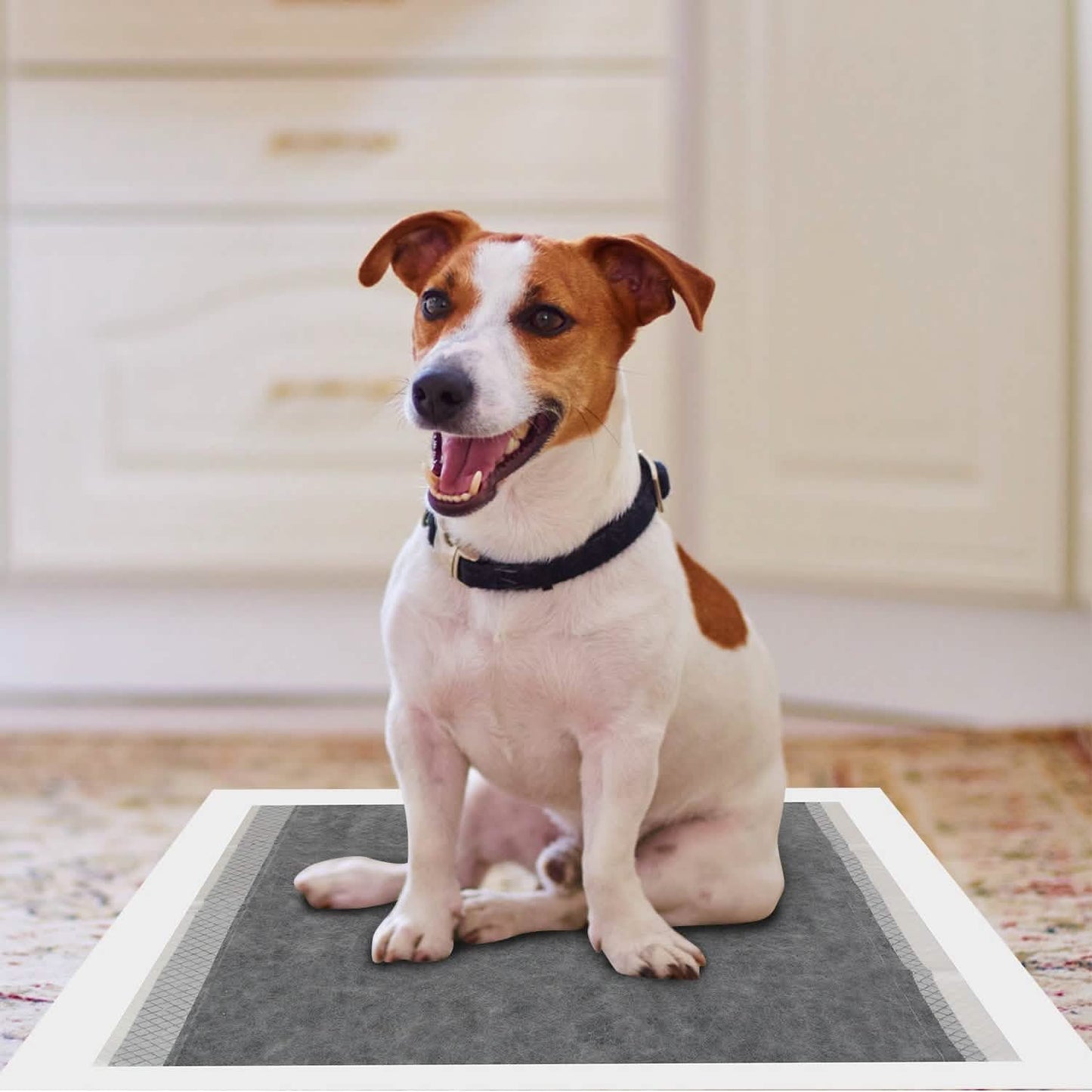 Dog Pee Training Pads Super Absorbent DailySale