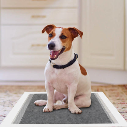 Dog Pee Training Pads Super Absorbent DailySale