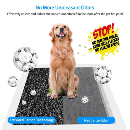 Dog Pee Training Pads Super Absorbent DailySale