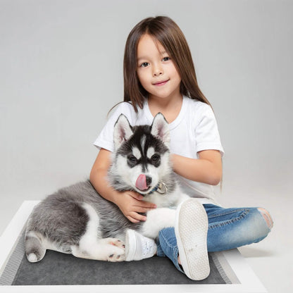 Dog Pee Training Pads Super Absorbent DailySale