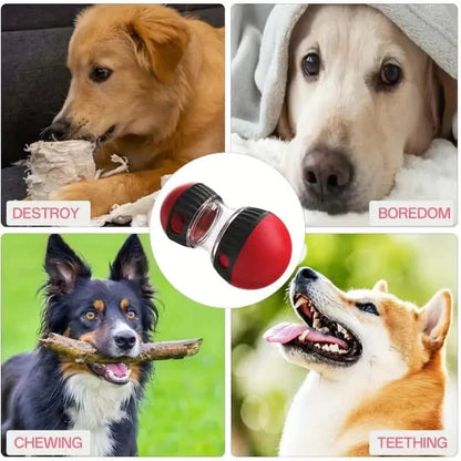 Dog Puzzle Toy with Adjustable Treat Dispensing DailySale