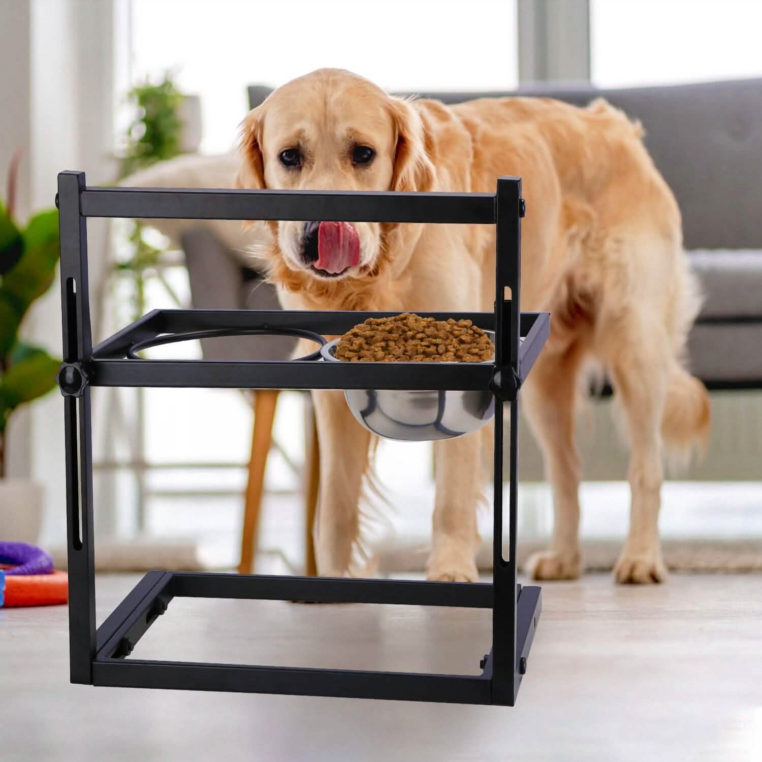 Dog Raised Bowls with Adjustable Height Stainless Steel DailySale