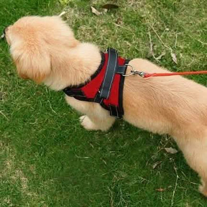 Dog Soft Adjustable Harness DailySale