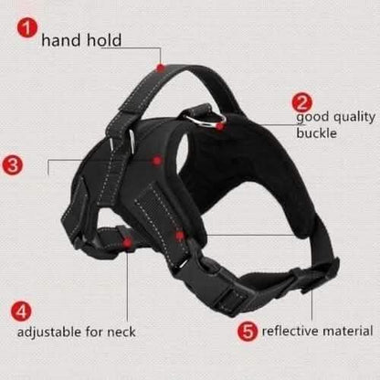 Dog Soft Adjustable Harness DailySale