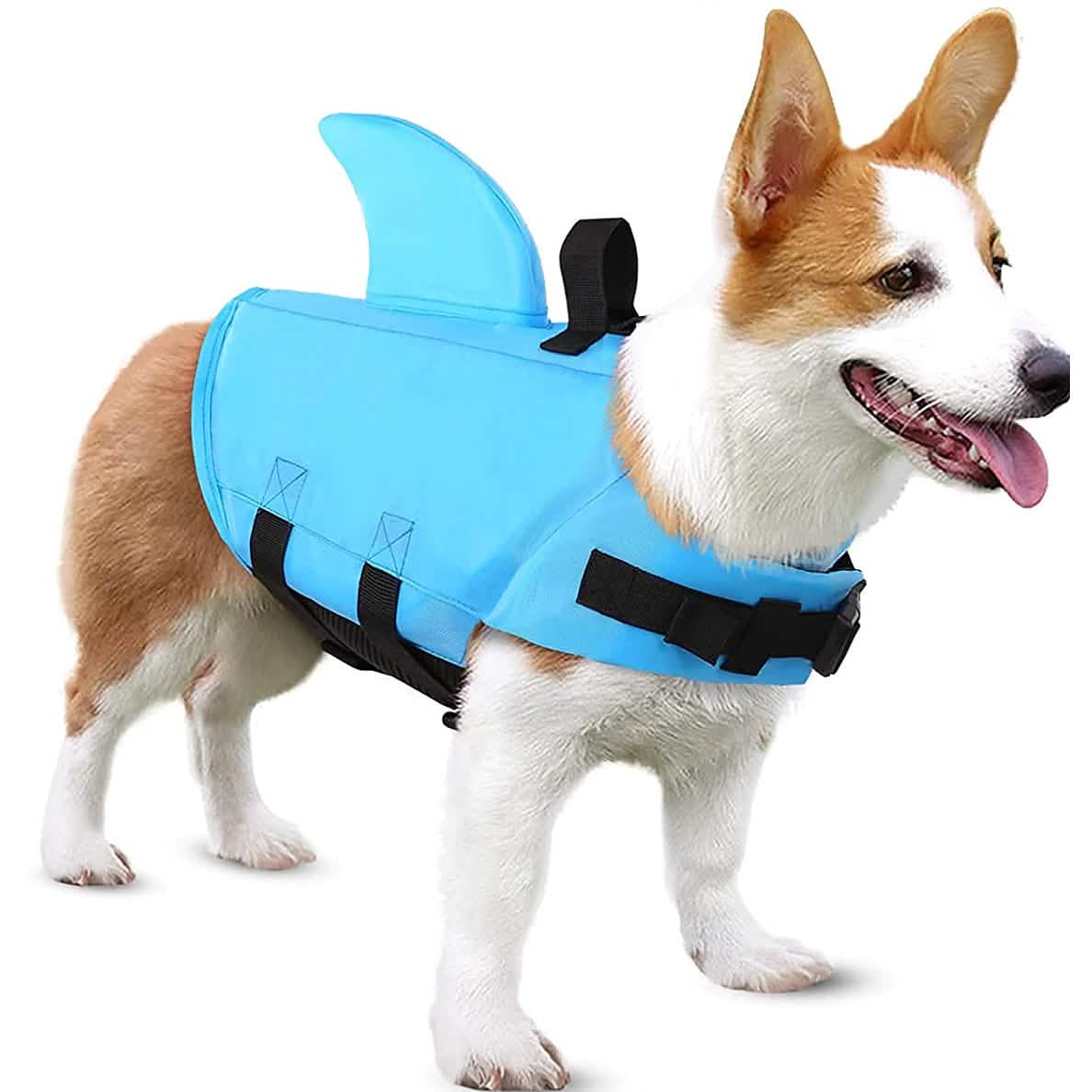 Dog Swimsuit with Shark Fin DailySale