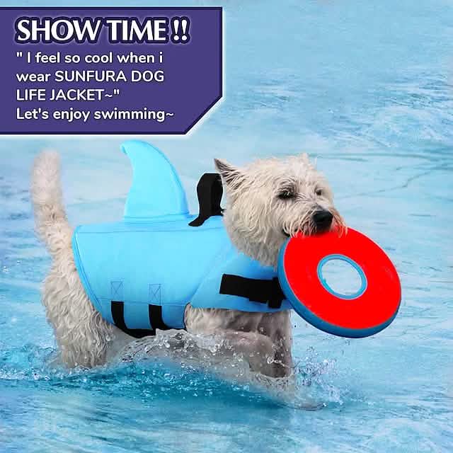 Dog Swimsuit with Shark Fin DailySale