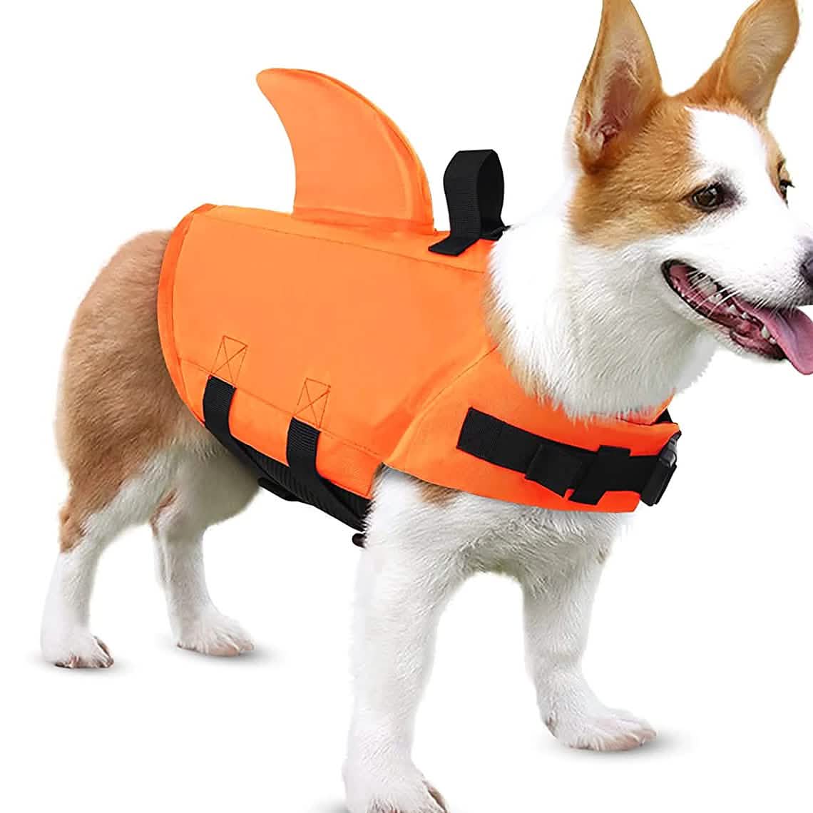Dog Swimsuit with Shark Fin DailySale
